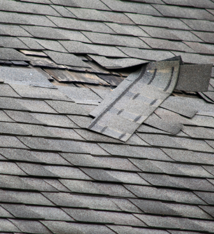 Roof Repair - Spotting Roofing Damage