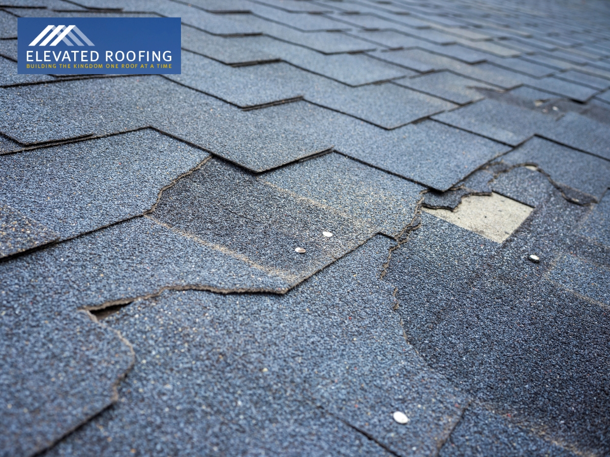 10 Questions to Ask Your Roof Inspector