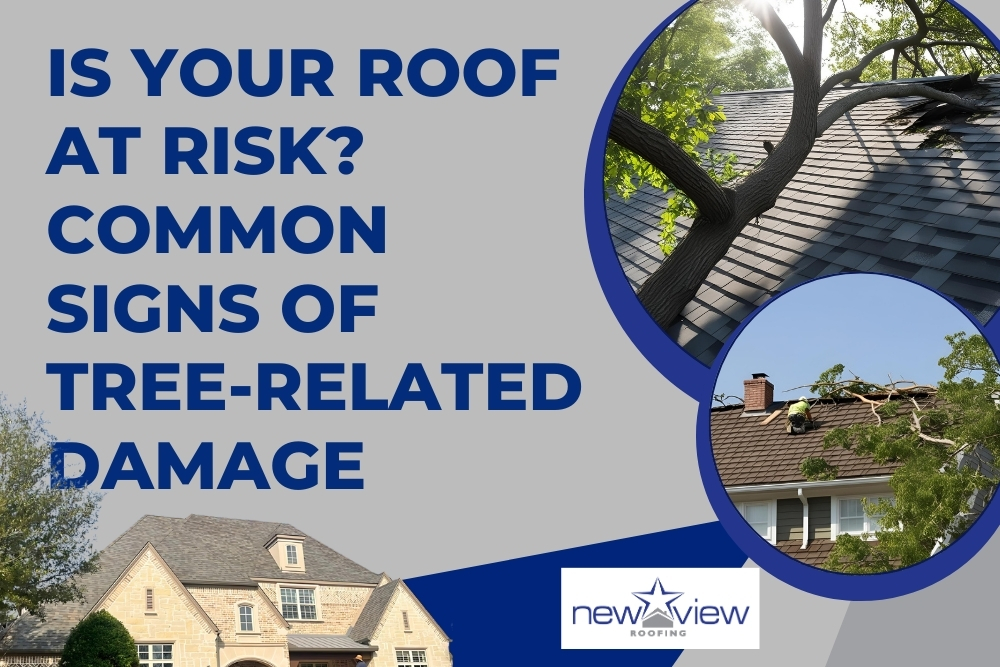 roof damage from trees Common Signs of Tree-Related Damage - Newview Roofing
