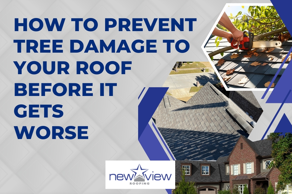 roof damage from trees How to Prevent Tree Damage to Your Roof - Newview Roofing