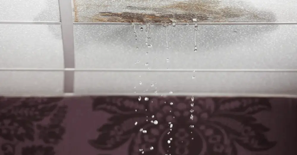 Water-Stains-on-Ceiling