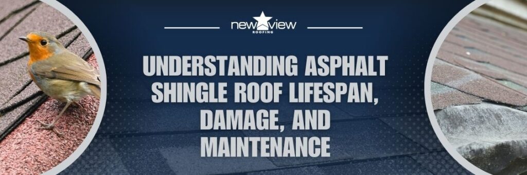 lifted shingles - Understanding Asphalt Shingle Roof Lifespan, Damage, and Maintenance - New View Roofing