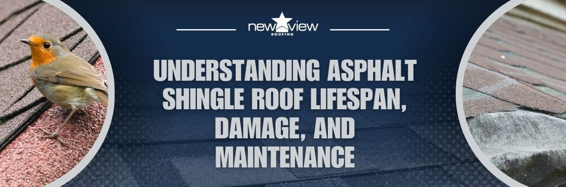 lifted shingles - Understanding Asphalt Shingle Roof Lifespan, Damage, and Maintenance - New View Roofing