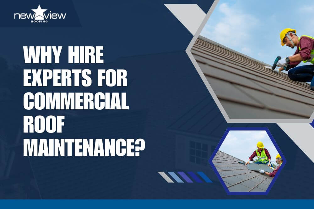 Why Hire Experts for Commercial Roof Maintenance - New View Roofing